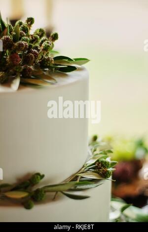 Elegant wedding cake with flowers and succulents Stock Photo
