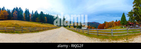 Idylic country road panoramic landscape through spruce forest in Carpathian mountains Bucegi on autumn season Stock Photo