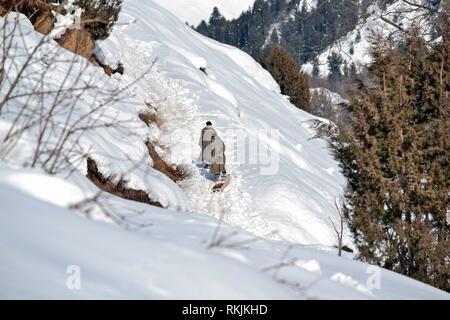 February 11, 2019 - Kashmir, J&K, India - A Kashmiri boy seen walking up a hill with a sledge during a sunny winter day on a sunny winter day on the outskirts of Srinagar, Indian administered Kashmir.Weather in the Kashmir valley has shown improvement after the heaviest snowfall. The main National Highway that connects the valley with the rest of the country remained closed for sixth consecutive days following an avalanche killing seven people including the three policemen, the two firefighters and the two prisoners. The weather man has forecast heavy rain and snowfall from Feb 13. (Credit Im Stock Photo