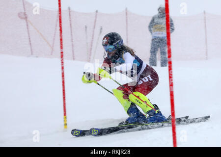 Sarajevo, Bosnia and Herzegovina (BiH). 11th Feb, 2019. Switzerland's Julie Trummer competes during the women's giant slalom competition at the European Youth Olympic Festival (EYOF 2019) on Mountain Jahorina, near Sarajevo, Bosnia and Herzegovina (BiH), on Feb. 11, 2019. Credit: Nedim Grabovica/Xinhua/Alamy Live News Stock Photo
