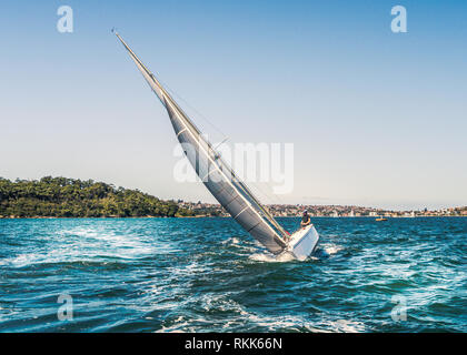 A Yacht tilting, heeling in the water it has a large silver grey sail and is cutting through the blue water of Sydney harbour, Australia on a summer d Stock Photo