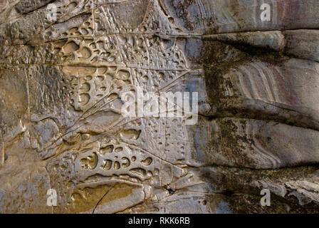 Fascinating textured sandstone rocks on a beach in Sunset Bay, Oregon, USA. Stock Photo