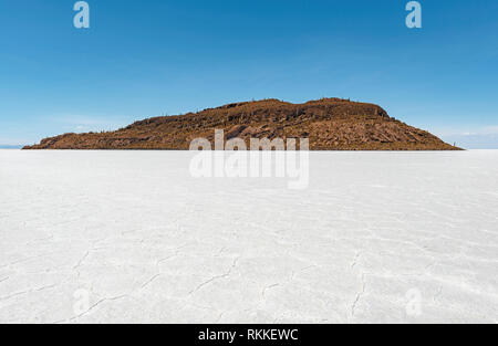 Landscape of the Incahuasi island in the middle of the Uyuni salt flar or Salar de Uyuni, famous for the giant Atacama cactus, Bolivia. Stock Photo