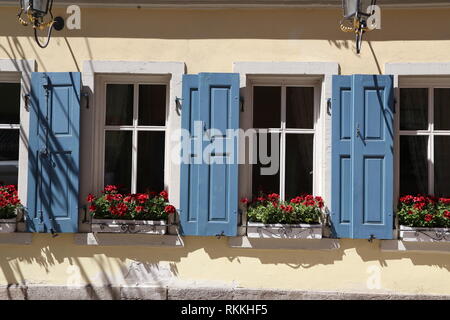 Red flowers on the windowsill / Windows with shutters Stock Photo