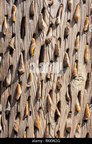 An old traditional threshing sled in the view Stock Photo