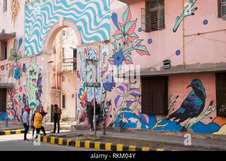 Group of people take photos in front of a mural by Brazilian artists Bicicleta Sem Freio, in Lodhi Colony, New Delhi, India Stock Photo