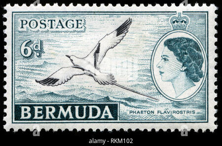 Postage stamp from Bermuda in the Country Motives series issued in 1953 Stock Photo