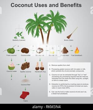 Infographics milk production. Stages of milk production from cows Stock ...