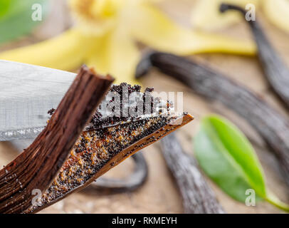 Dried vanilla fruits and vanilla orchid on wooden table. Close-up. Stock Photo