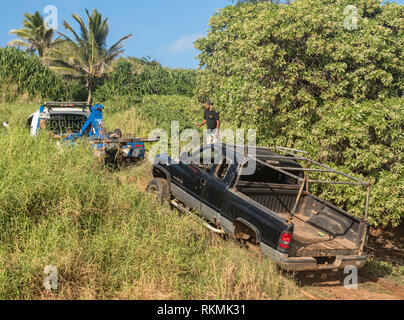 Abandoned truck on Kauai beach being towed Stock Photo