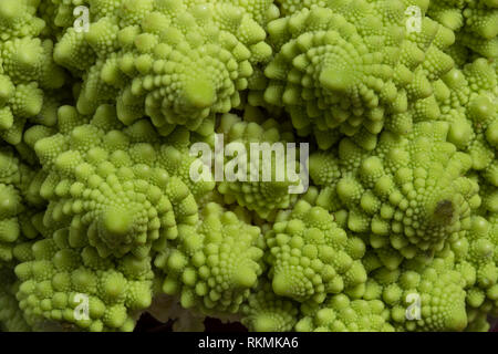 Romanesco broccoli close up Stock Photo