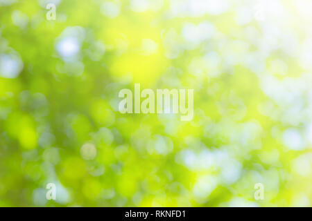 Abstract glamorous green bokeh lights glitter sparkle. Defocused background have luxury golden color party invite for birthday, anniversary, holliday, Stock Photo