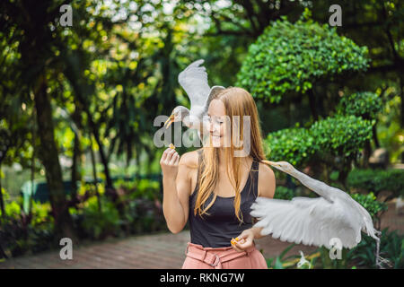 Young woman feeding ibes in the park. Little Egret Cattle egret Bubulcus ibis Waters Edge Stock Photo