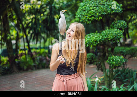 Young woman feeding ibes in the park. Little Egret Cattle egret Bubulcus ibis Waters Edge Stock Photo