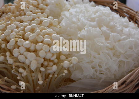 Enoki or  Golden Mushroom and Tremella Mushroom Stock Photo