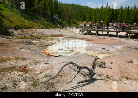 WY03447-00...WYOMING - Boardwalk at Artist Paint Pots with view of mud pots on Paint Pot Hill in Yellowstone National Park. Stock Photo