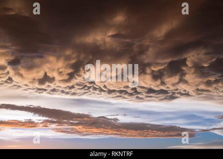 A Clearing Storm And Clouds On The Prairies At Sunset Near Winkler