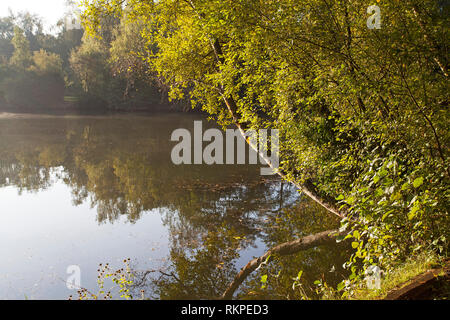 Lake at Swanwick Lakes Hampshire and Isle of Wight Wildlife Trust ...