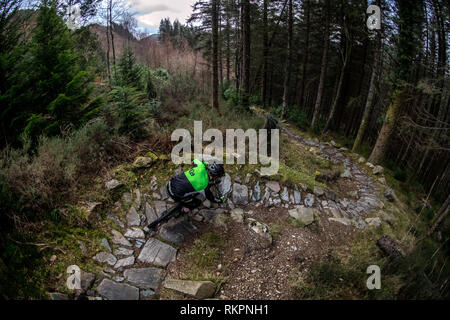 A man rides a mountain bike on a rocky trail at Coed-y-Brenin trail centre in North Wales. Stock Photo