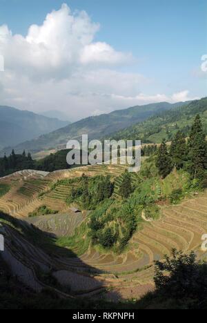 A spectacular view of the Longji Dragon’s Backbone Rice Terraces in ...