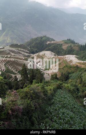 A spectacular view of the Longji Dragon’s Backbone Rice Terraces in ...