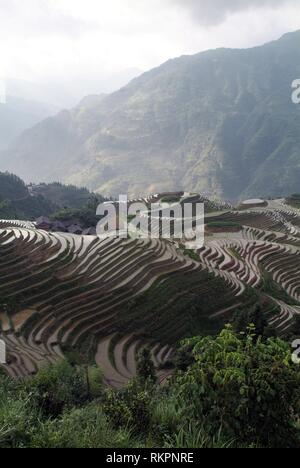 A spectacular view of the Longji Dragon’s Backbone Rice Terraces in ...