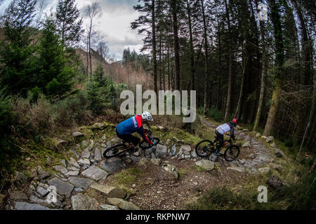 brenin bikes