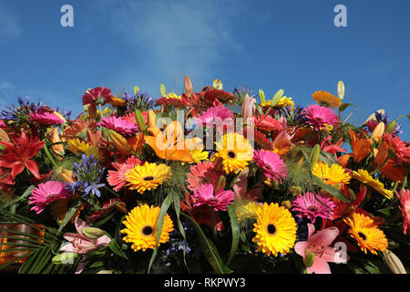 Floristic decoration with colorful gerberas and lilies against a blue sky Stock Photo