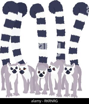vector cartoon animal clipart cute striped lemurs Stock Vector