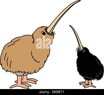 vector cartoon animal clipart wingless kiwi bird Stock Vector