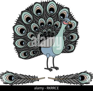 vector cartoon animal clipart vibrant peacock bird Stock Vector