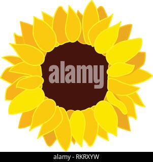 vector sunflower seed head flat flower icon Stock Vector