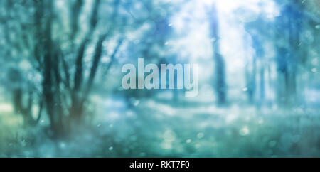 fantasy defocused forest background Stock Photo