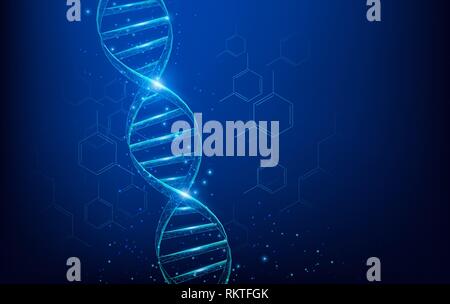 Wireframe DNA molecules structure mesh low poly consisting of points, lines, and shapes on dark blue background. Science and Technology concept Stock Vector