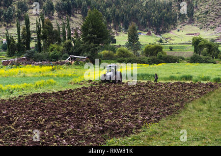 Farmer working in the tractor plow fields, preparing the land for planting. Stock Photo