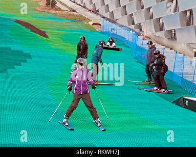 Copenhagen, Denmark. February 12th 2019. CopenHill, the artificial ski slope on top of the new waste-to-energy plant on Amager in Copenhagen on the first of two days' test skiing during spring half term of the Danish schools. The energy plant is working, but the ski slope and other recreational facilities will be ready to open very soon. The two days' test skiing will only take place on the lower end of the slope, but seems to be a success for all ages. The plant and ski slope is designed by architect Bjarke Ingels BIG. Credit: Niels Quist/Alamy Live News Stock Photo