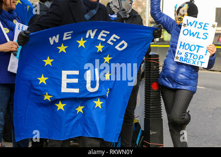 London, UK. 12th Feb, 2019. Anti-Brexit demonstrators are seen with a placard and a banner during an anti-Brexit protest outside the Houses of Parliament in London. Credit: SOPA Images/ZUMA Wire/Alamy Live News Stock Photo