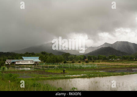 The isolated village of Bario. With rice fields surrounded by mountains ...