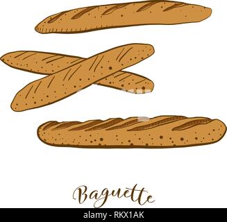 Colored sketches of Baguette bread. Vector drawing of Yeast bread food, usually known in France. Colored Bread illustration series. Stock Vector