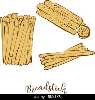 Colored sketches of Breadstick bread. Vector drawing of Dry bread food, usually known in Italy. Colored Bread illustration series. Stock Vector