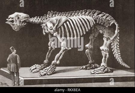 Megatherium americanum, Natural Sciences Museum, Madrid, seen here in the late 19th century.  The first Megatherium discovered in Argentina in 1788 was the first prehistoric animal skeleton mounted in 1795.  From La Ilustracion Espanola y Americana, published 1892. Stock Photo
