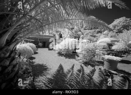 An Infrared Monochrome Image Of The Old Barn Resteraunt And Off