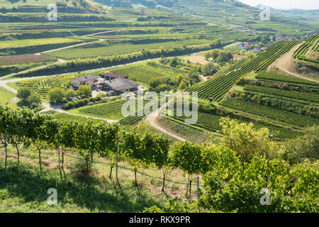 Schatzle winery surrounded by vineyards growing on volcanic terraces in the Kaiserstuhl wine district in the Baden wine region of southwestern Germany Stock Photo