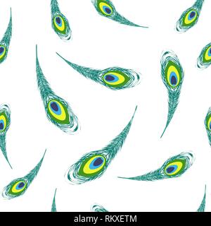 Set of Colorful Peacock Feathers Stock Vector