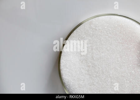 glass petri dish of caster sugar on a white background Stock Photo