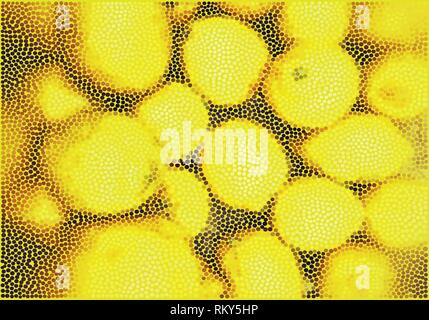 Abstract lemons dot vector illustration in yellow, brown and orange colors palette Stock Vector