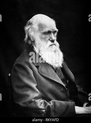 Charles Darwin, (1809-1882), English naturalist, geologist and biologist portrait, 1869 Stock Photo