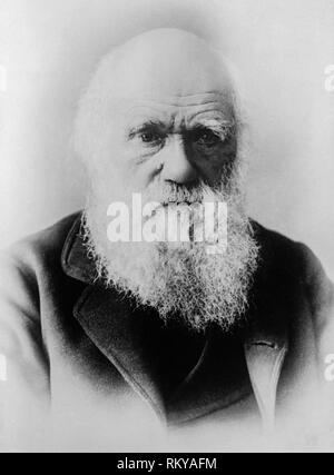 Charles Darwin, (1809-1882), English naturalist, geologist and biologist,  portrait, 1879 Stock Photo