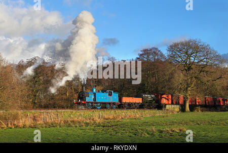 Caley tank 419 heads past Consall wood on 10.2.19 on the Churnet Valley railway. Stock Photo