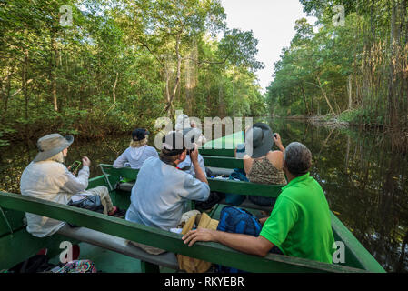 Visitors on boat tour of Caroni Swamp Bird Sanctuary on Trinidad island, Trinidad and Tobago. Stock Photo